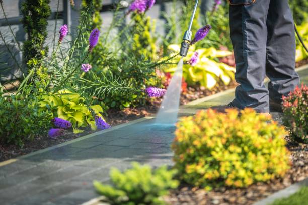 Reliable Marshville, NC Pressure Washing Services Solutions